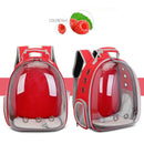 Free shipping Cat bag Breathable Portable Pet Carrier Bag Outdoor Travel backpack for cat and dog Transparent Space pet Backpack - ATMOSFHERE SHOP