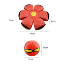 Brinquedo Bola Disco Infantil | Brinquedo Infantil