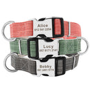 Coleira Colar para gato cachorro Pets em Nylon Atmos - ATMOSPHERE SHOP