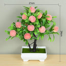 Mini Bonsai Artificial Decorativo - ATMOSPHERE SHOP