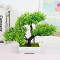 Mini Bonsai Artificial Decorativo - ATMOSPHERE SHOP