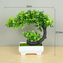 Mini Bonsai Artificial Decorativo - ATMOSPHERE SHOP