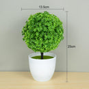 Mini Bonsai Artificial Decorativo - ATMOSPHERE SHOP