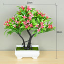 Mini Bonsai Artificial Decorativo - ATMOSPHERE SHOP