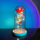 Rosa Encantada Dourada Atmos™ - Excelente Presente - ATMOSPHERE SHOP